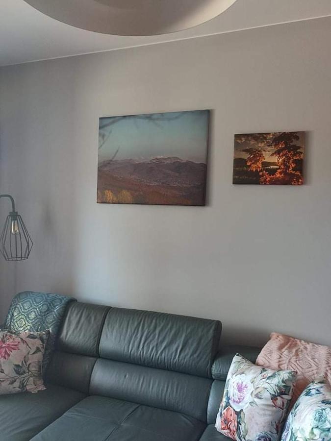 Lux Apartament Odkryj - Bieszczady Ustrzyki Dolne Eksteriør bilde